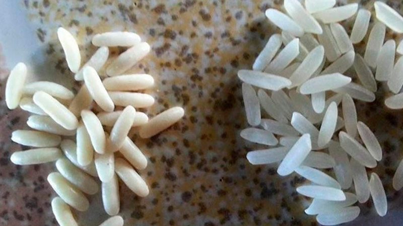 Спрете да ядете ментета! Ето как да проверите дали оризът от магазина е истински! img