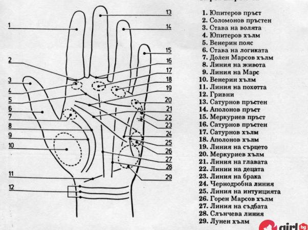 КАРТА НА РЪКАТА разкрива с точност колко и какви деца ще имате – ВИЖТЕ! img