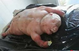 Дяволско изчадие се появи в Африка! Никой няма обяснение какво е това същество (снимки) img
