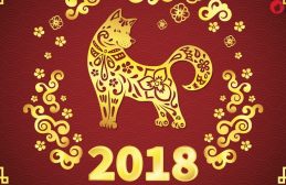 Тамара Глоба разкри какво ни очаква през 2018 – годината на Жълтото земно куче! img