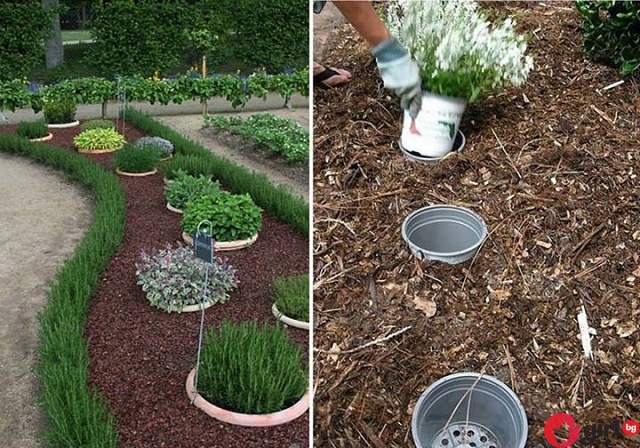 идеи за градината