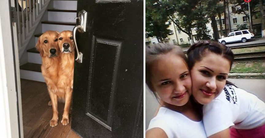 26 Подвеждащи Снимки, Които Трябва Да Погледнете Два Пъти! img