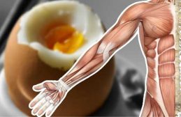 13 чудесни неща, които ще се случат с тялото ви, ако ядете яйца всеки ден img